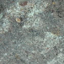 Weihrauch